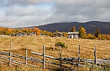 739A8161